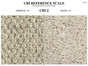 CRI - 2 Reference Scale