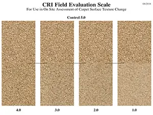 CRI - Field Evaluation Scale